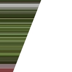 兄弟聯(lián)